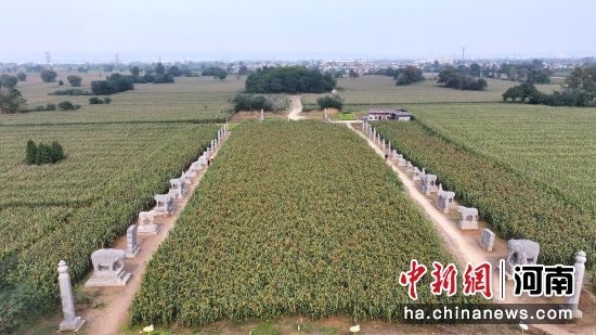 �D����̩����^(q��)��(n��i)�ĸ����u�γ�����(�o�˙C(j��)��Ƭ)�R�� �z