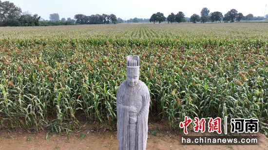 �D����̩����^(q��)��(n��i)��ʯ�����͸�������(�o�˙C(j��)��Ƭ)�R�� �z