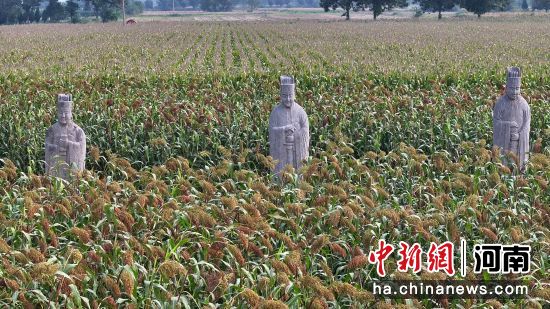 �D����̩����^(q��)��(n��i)��ʯ�����͸�������(�o�˙C(j��)��Ƭ)�R�� �z