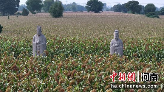 �D����̩����^(q��)��(n��i)��ʯ�����͸�������(�o�˙C(j��)��Ƭ)�R�� �z