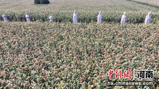 �D����̩����^(q��)��(n��i)��ʯ�����͸�������(�o�˙C(j��)��Ƭ)�R�� �z