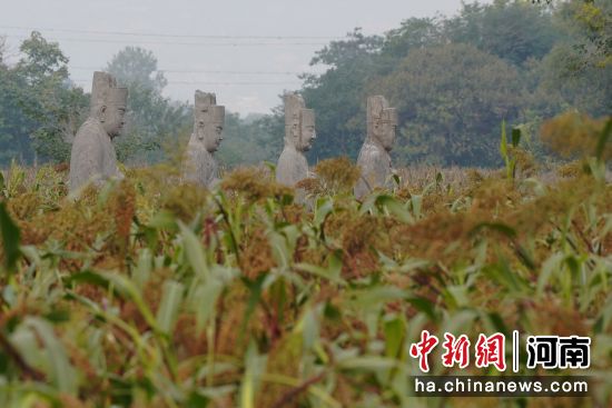 �D��u��Ⱦ�t�ĸ����c����ǧ���ʯ������ӳ��Ȥ���R�� �z