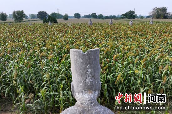 �D����̩����^(q��)��(n��i)��ʯ�����͸�������(�o�˙C(j��)��Ƭ)�R�� �z