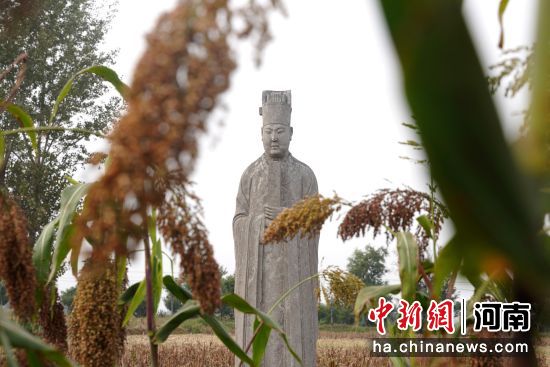 �D����̩����^(q��)��(n��i)��ʯ�������R�� �z