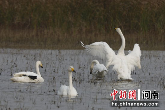 �D������Z��ˮ�����ґ��������� �z