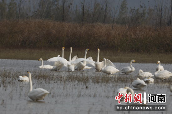 �D������Z��ˮ�����ґ��������� �z