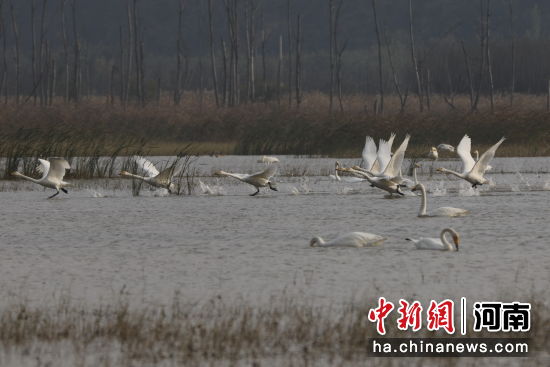 �D������Z��ˮ������߮������������ �z