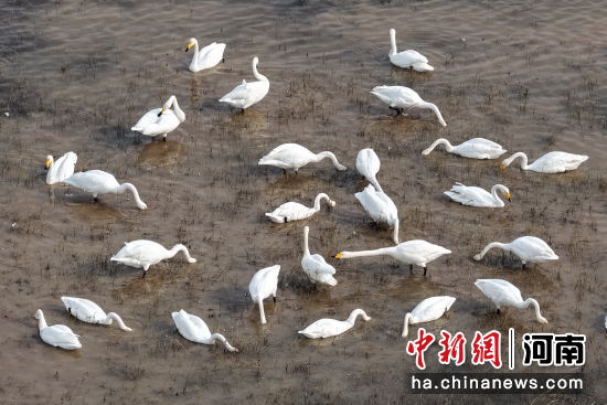 �D������Z��ˮ��Ғʳ�������� �z