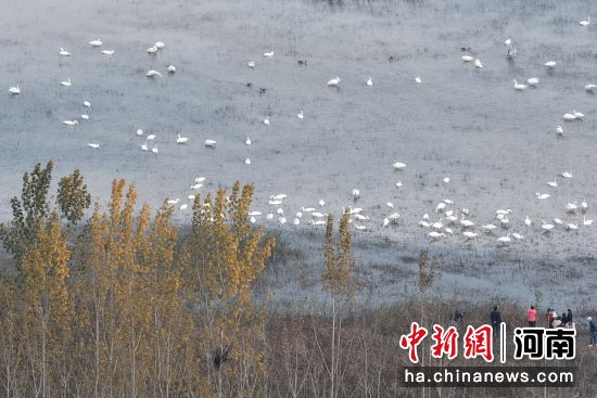 �D������Z��ˮ������߮�������� �z