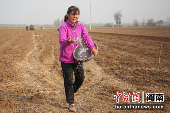 �D���r(n��ng)���鄂���N��С��?zh��n)��ʡ?������z